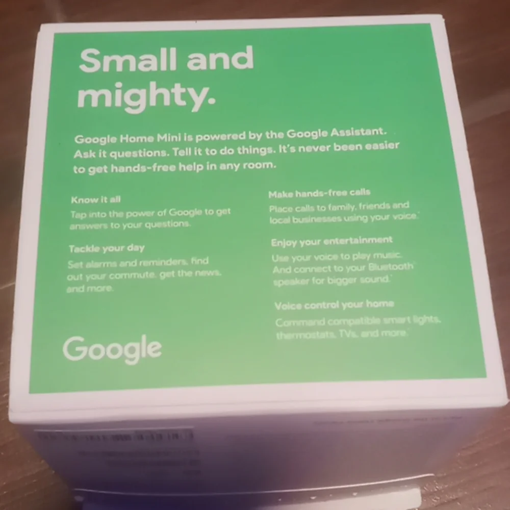Google home Mini (Charcoal) old